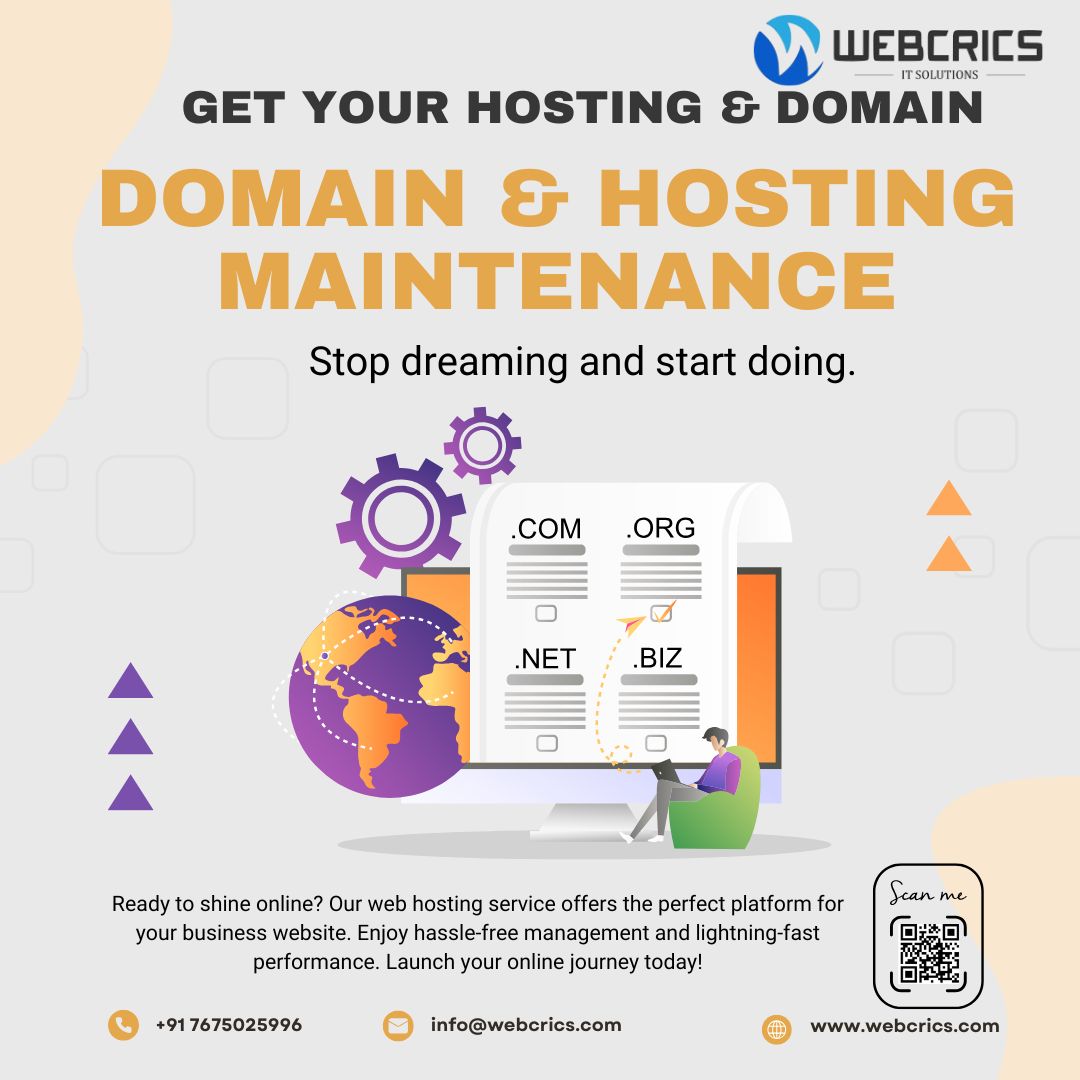 Domain Hosting and Maintenance Services